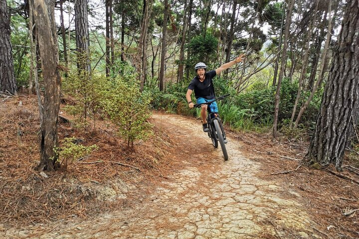 Explore the Waitangi MTB Park on Electric Bikes - Photo 1 of 7